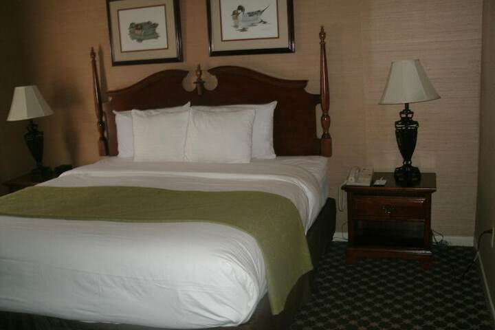 Room 36 of 52