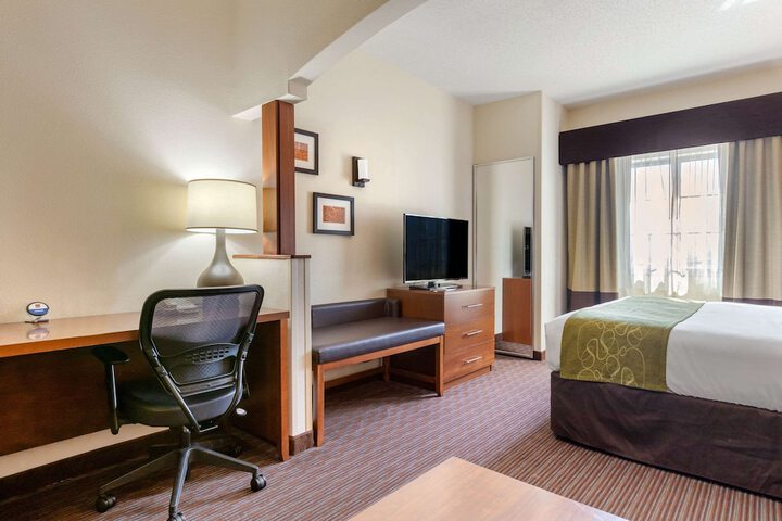 Comfort Suites Stevensville - St. Joseph