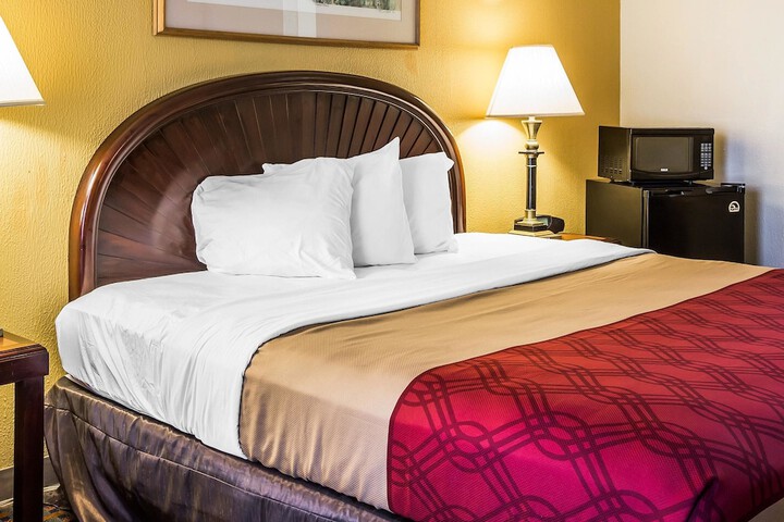 Rodeway Inn & Suites Carrollton