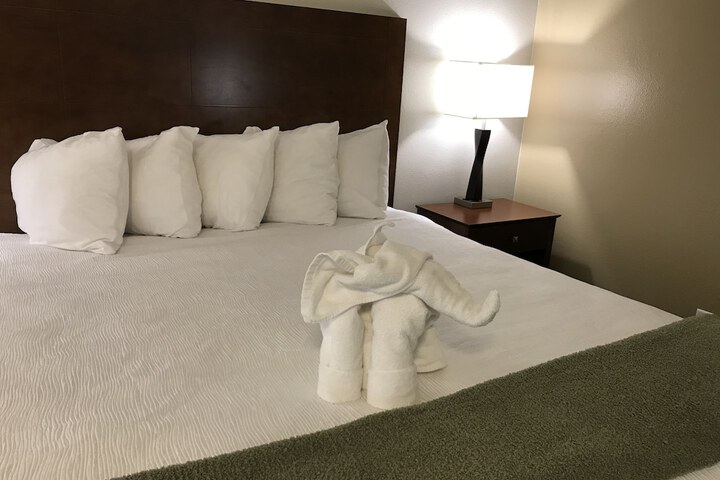 Dinosaur Inn & Suites