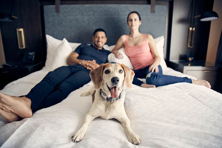 Pet Friendly 99 of 101
