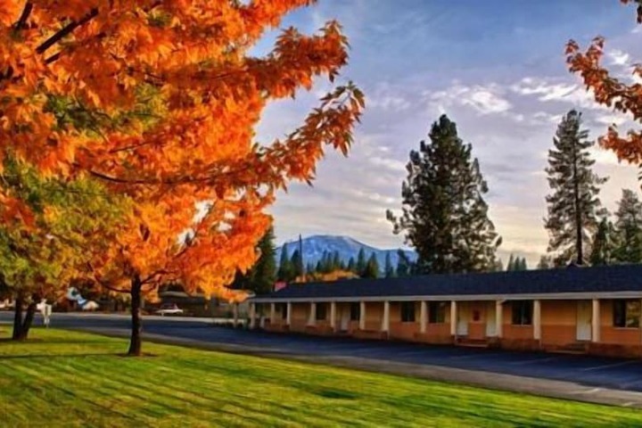 Shasta Pines Motel & Suites