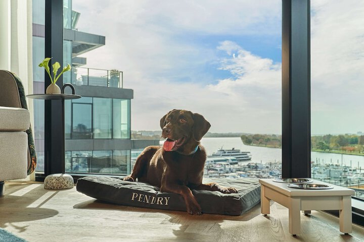 Property Grounds 75 of 77