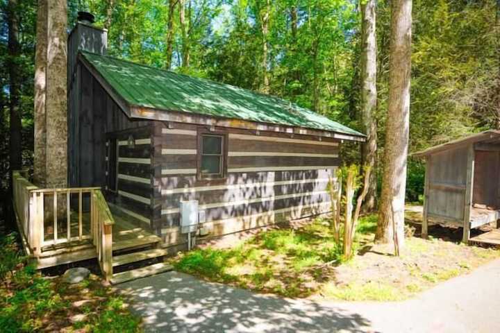 Dancing Bear Lodge