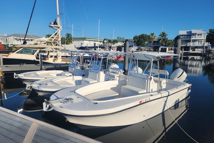 Yacht Haven Marina