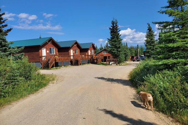 Denalis Alaskan Spruce Cabins