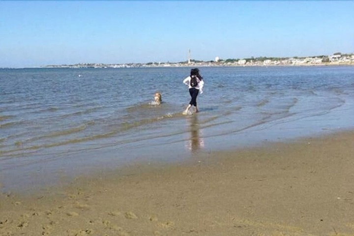 Beach 153 of 163