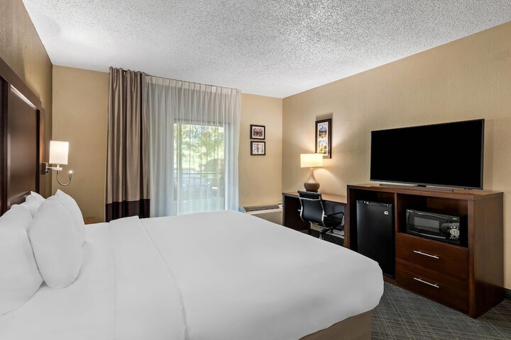 Comfort Inn Roswell-Dunwoody