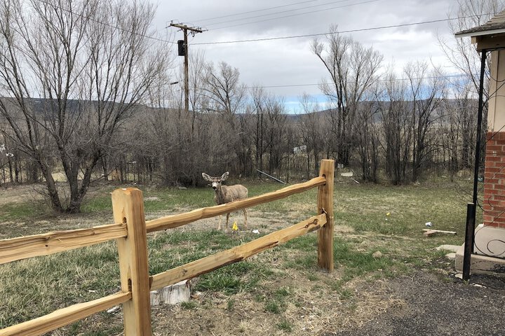 Property Grounds 26 of 27