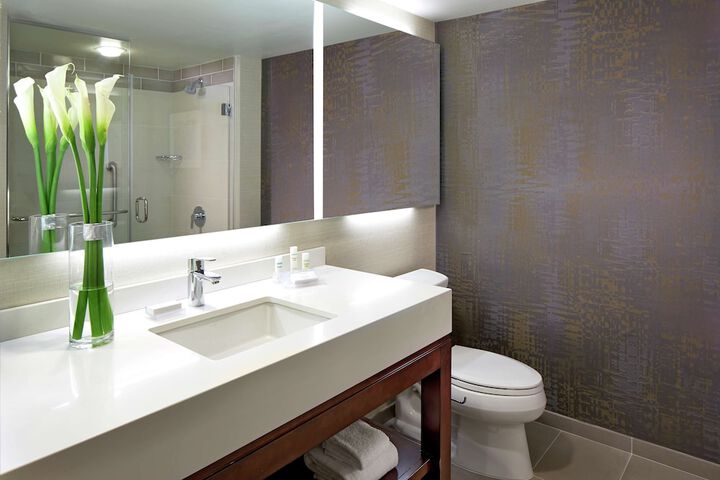 Hilton Garden Inn San Diego Old Town / SeaWorld Area