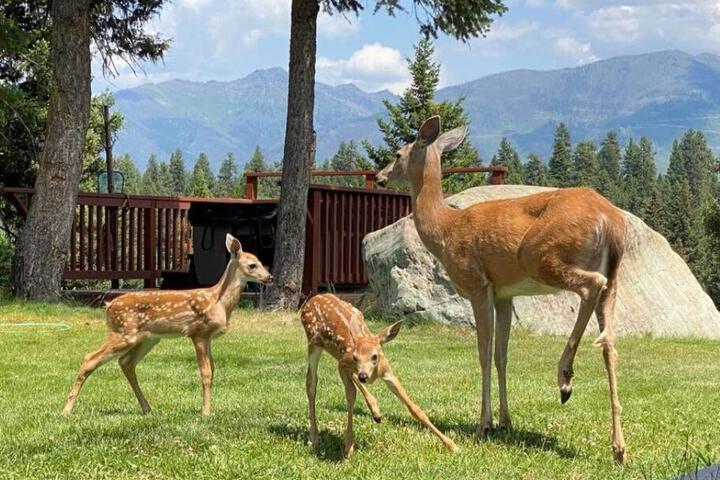Hot Tub-Awesome View-Secluded Apartment