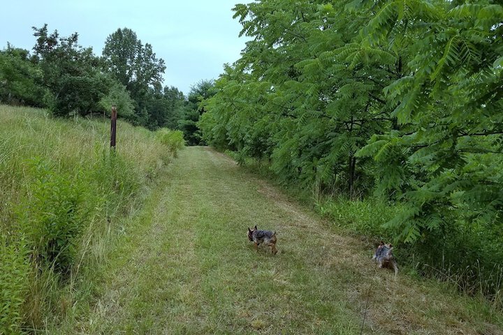 Outdoor Activities 53 of 53