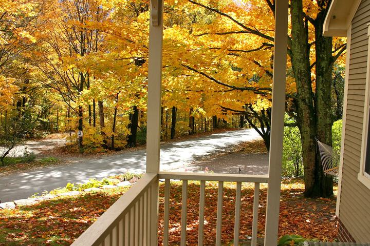 Terrace/Patio 52 of 74