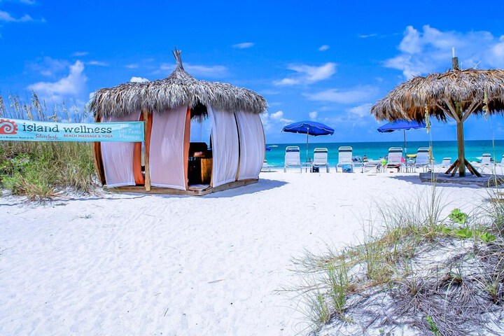 Anna Maria Island Beach Palms 5B