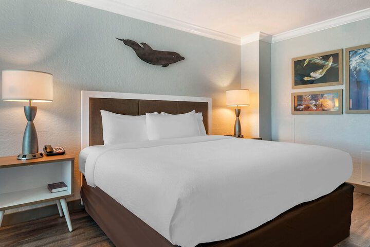 Dolphin Sands Clearwater Beach an Ascend Collection Hotel