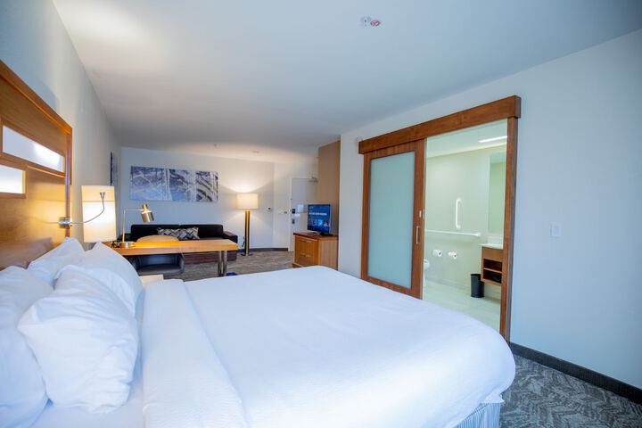SpringHill Suites by Marriott Baton Rouge Gonzales