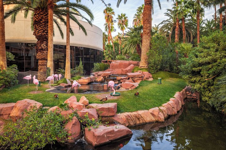 Flamingo Las Vegas Hotel & Casino