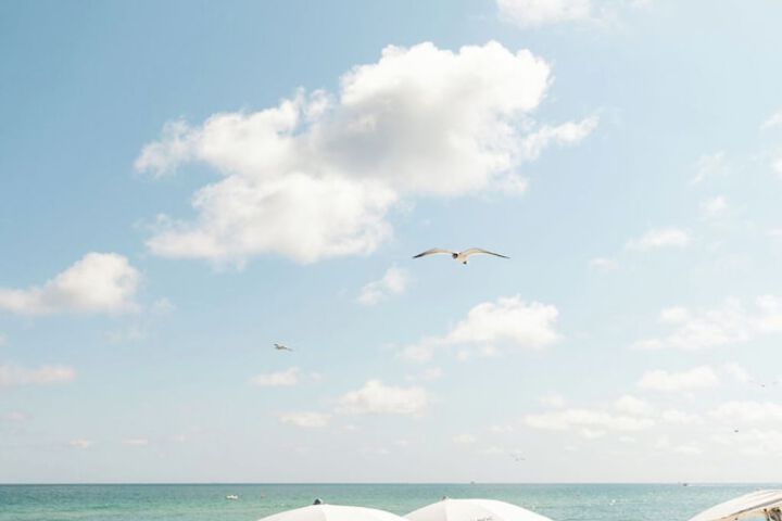 Eden Roc Miami Beach