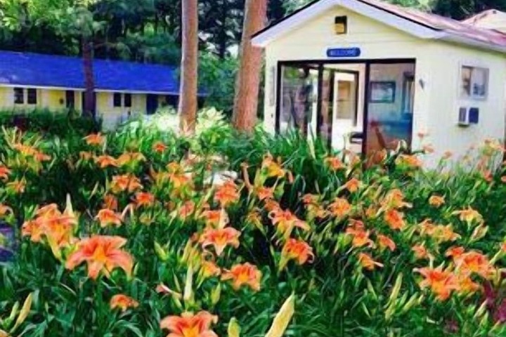 Meris Gardens Bethany