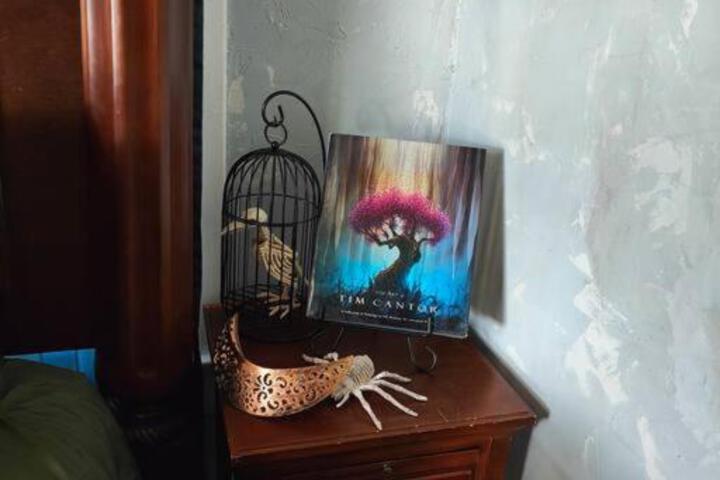 The vampires den downtown big house, pets ok