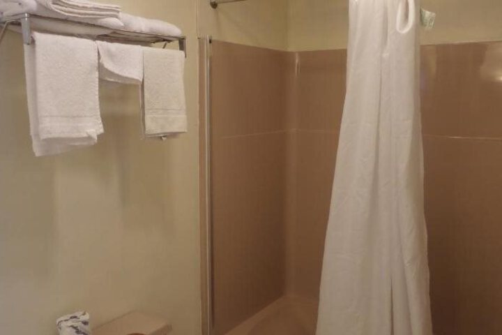 RED CARPET INN & SUITES PALMYRA