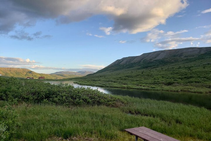 Denali Wild Stay