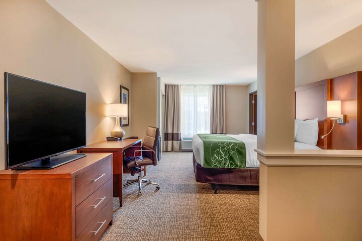 Comfort Inn & Suites Schenectady - Scotia