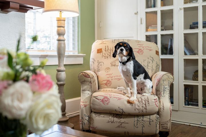Pet Friendly 51 of 51