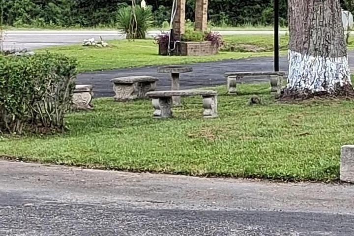Country Inn 15099 HWY 17 Townsend GA 31331