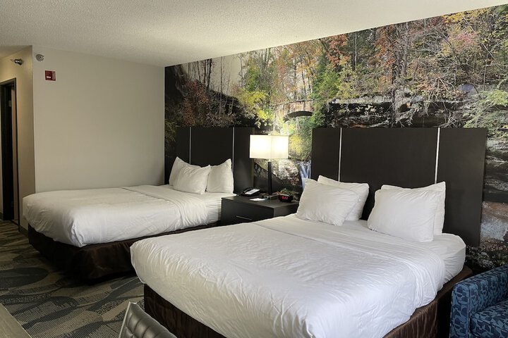 Room 19 of 56