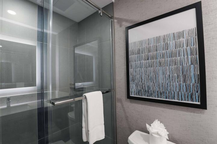 Radisson Plaza Hotel at Kalamazoo Center