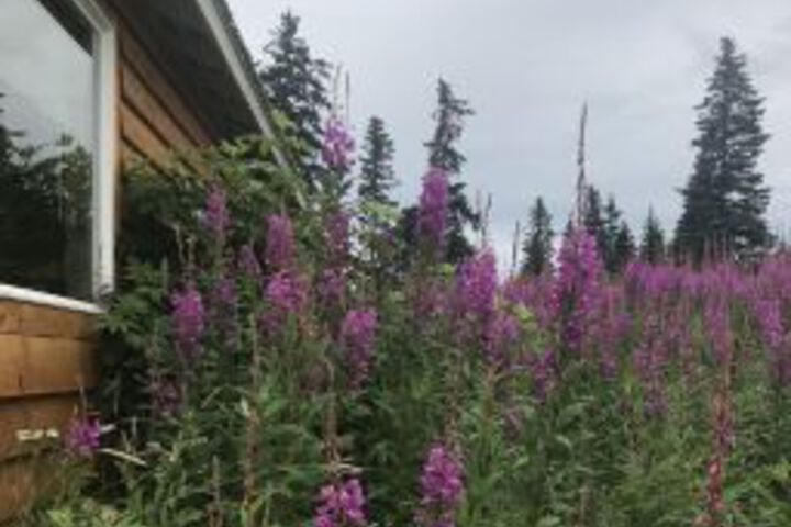 Raven House Alaska