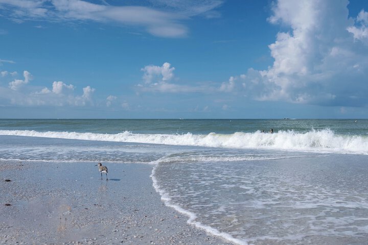 Beach 111 of 116