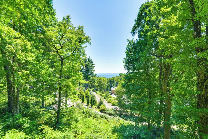La Petite Chalet w / Views in Blue Ridge Mtns!