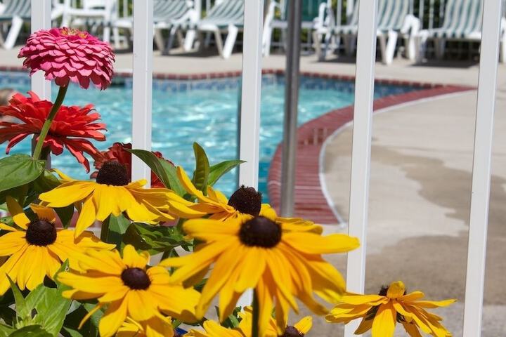 Pool 12 of 157