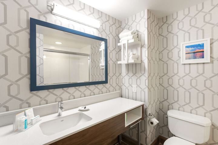 Hampton Inn Buffalo South / I-90