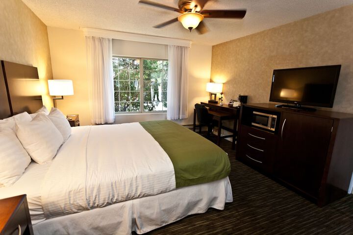 Room 15 of 25