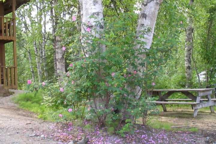 Property Grounds 29 of 32