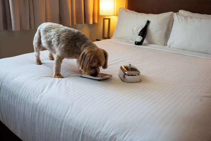 The Oswego Hotel