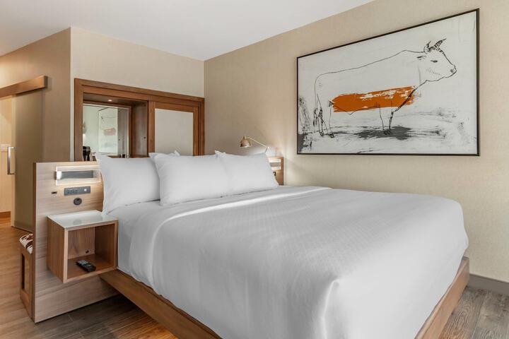 Cambria Hotel Richardson - Dallas