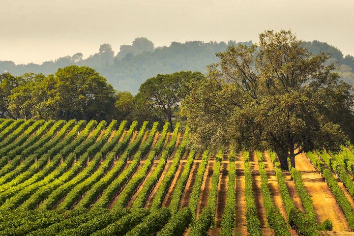 Hyatt Regency Sonoma Wine Country