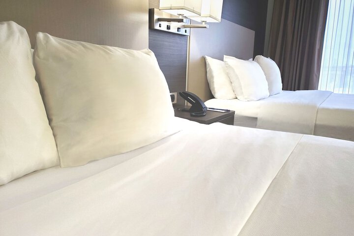 Comfort Suites Northlake