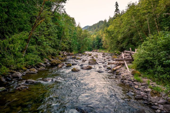 Mt Hood Village RV Resort