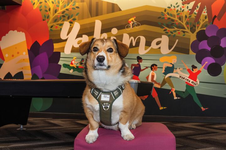 Pet Friendly 37 of 37