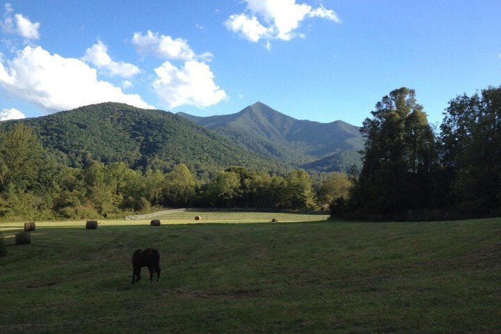 Pisgah View Ranch