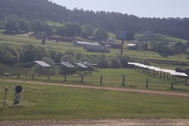 Suzies Camp