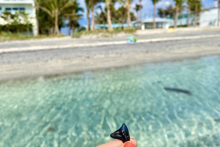 Manasota Key Resort
