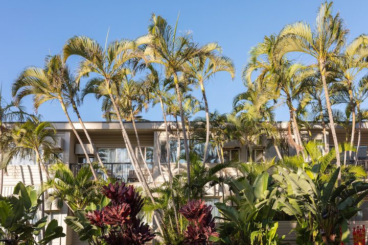 Maui Beach Hotel