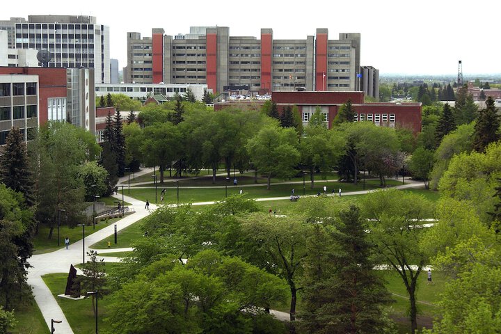 Property Grounds 26 of 37