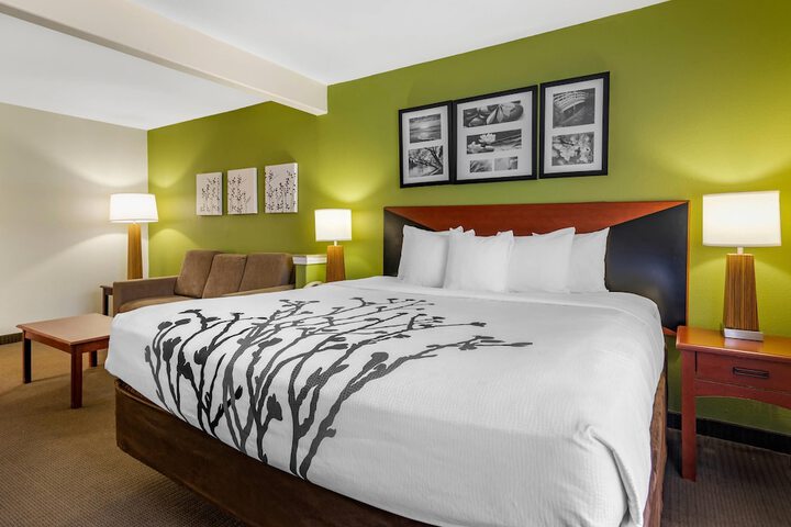 Sleep Inn & Suites Stockbridge Atlanta South